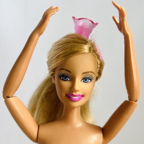 Barbie ballerina sorelle - barbie,