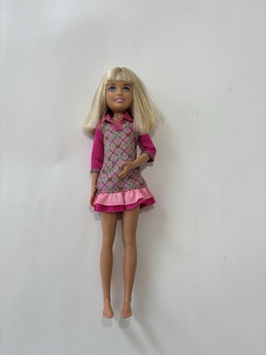 Barbie sue sorelle in - barbie,